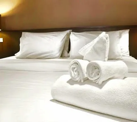 Otel Vladimir 3*