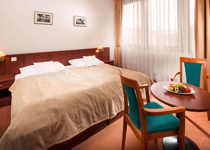 Vladimir 酒店 Ústí nad Labem